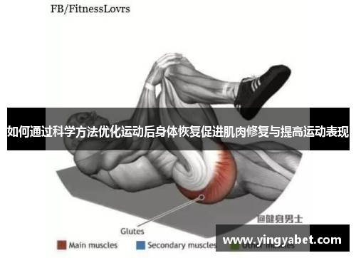 如何通过科学方法优化运动后身体恢复促进肌肉修复与提高运动表现