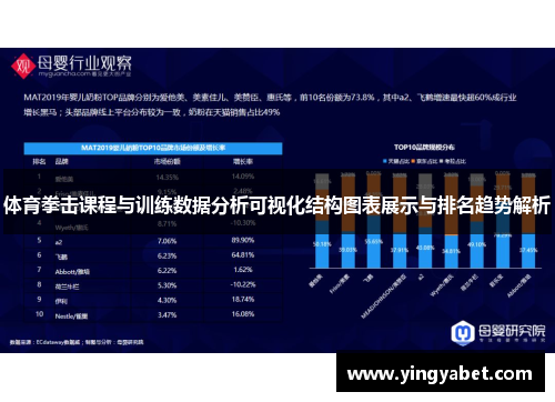 体育拳击课程与训练数据分析可视化结构图表展示与排名趋势解析